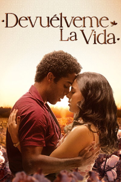 Póster de Devuélveme la vida
