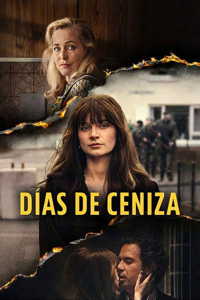 Póster de Días de ceniza