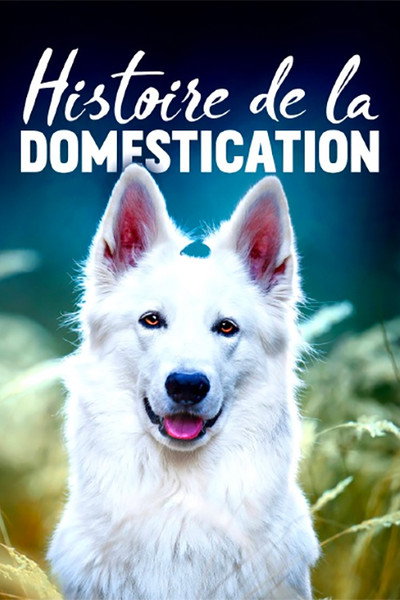 Póster de Die Geschichte von Mensch und Tier
