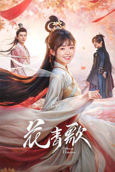 Póster de Different Princess