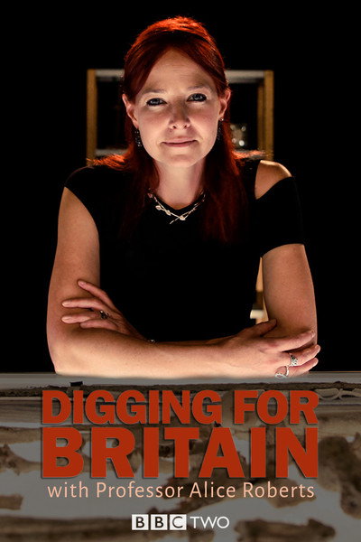 Póster de Digging for Britain
