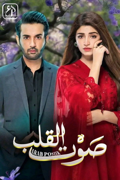Póster de Dil Awaiz