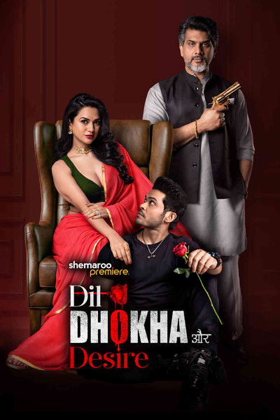 Póster de Dil Dhokha Aur Desire