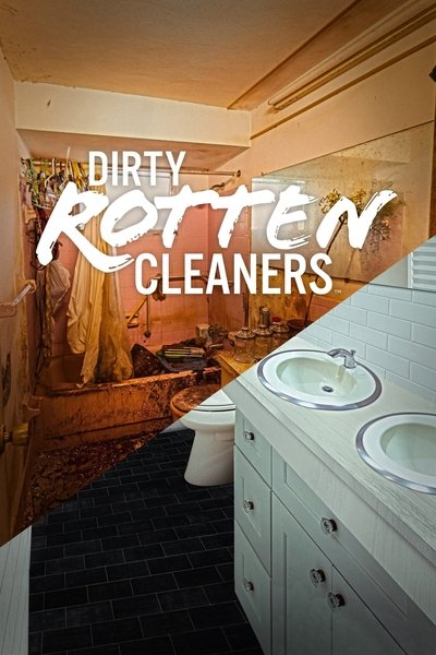 Póster de Dirty Rotten Cleaners
