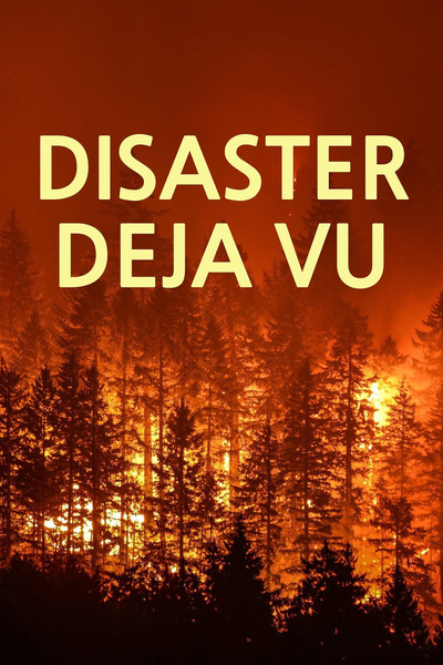 Póster de Disaster Deja vu