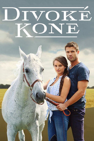 Póster de Divoké kone