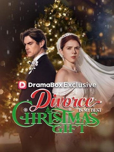 Póster de Divorce Is My Best Christmas Gift