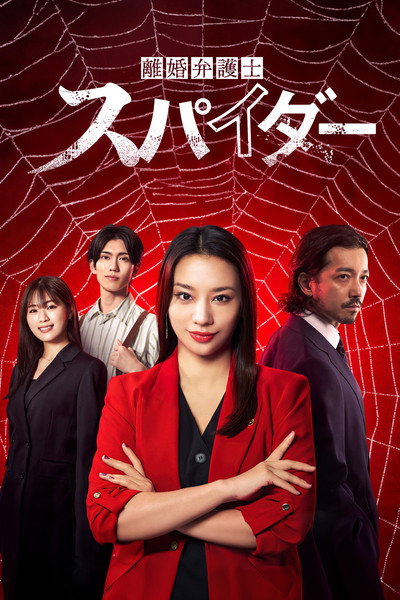 Póster de Divorce Lawyer Spider