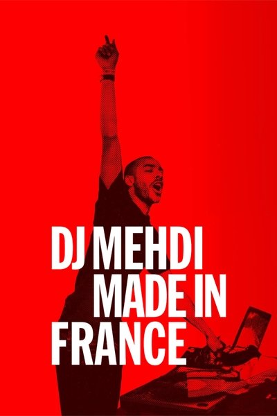 Póster de DJ Mehdi: Made in France