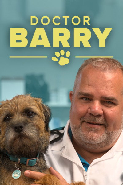 Póster de Doctor Barry