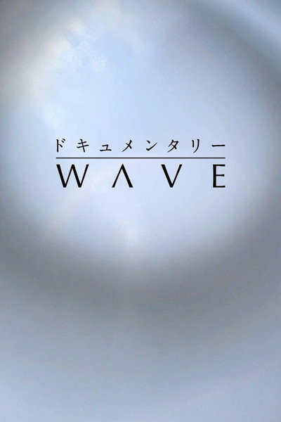 Póster de Documentary Wave