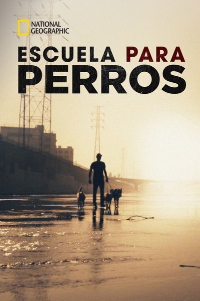 Póster de Dog: Impossible - Misión canina