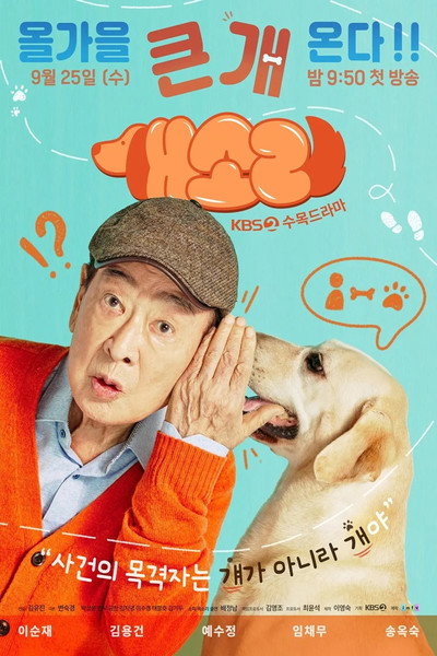 Póster de Dog Knows Everything
