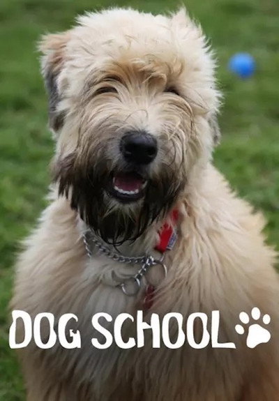 Póster de Dog School