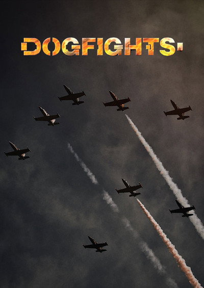 Póster de Dogfights