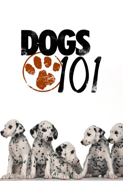 Póster de Dogs 101