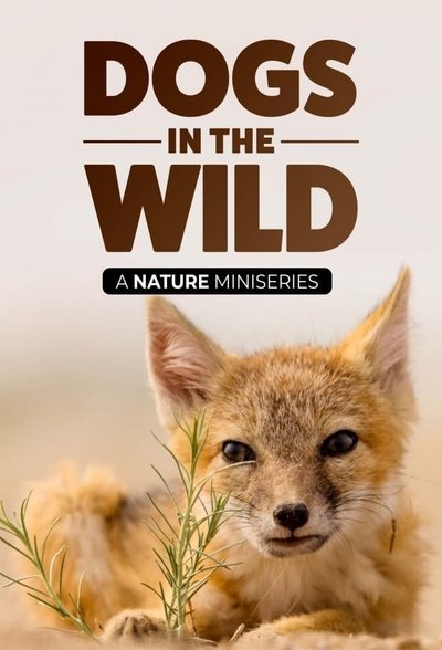 Póster de Dogs in the Wild