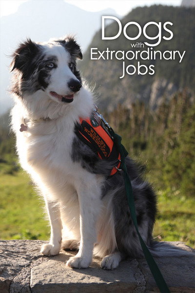 Póster de Dogs with Extraordinary Jobs