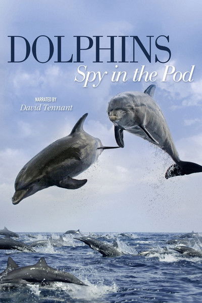Póster de Dolphins: Spy in the Pod