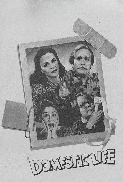 Póster de Domestic Life
