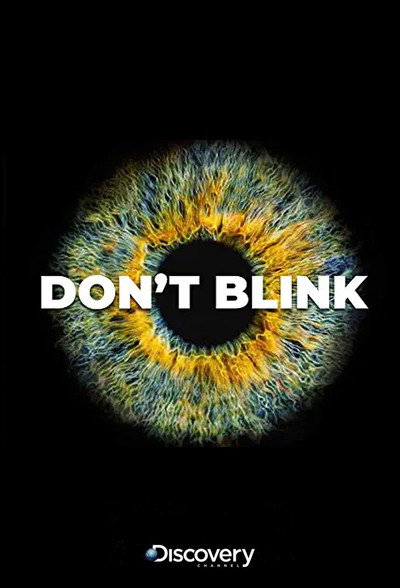 Póster de Don't Blink