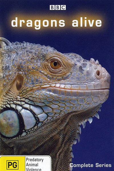Póster de Dragons Alive