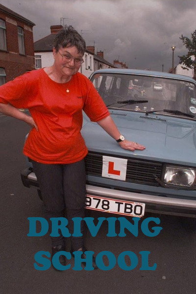 Póster de Driving School