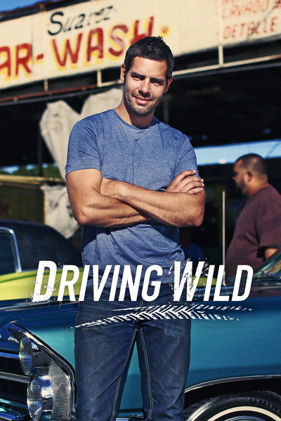 Póster de Driving Wild