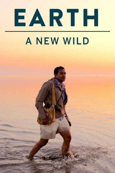 Póster de EARTH a New Wild