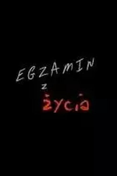 Póster de Egzamin z zycia