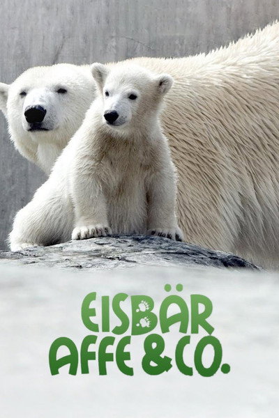 Póster de Eisbär, Affe & Co.