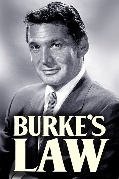 Póster de El agente Burke