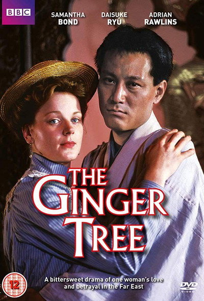 Póster de El árbol del jengibre