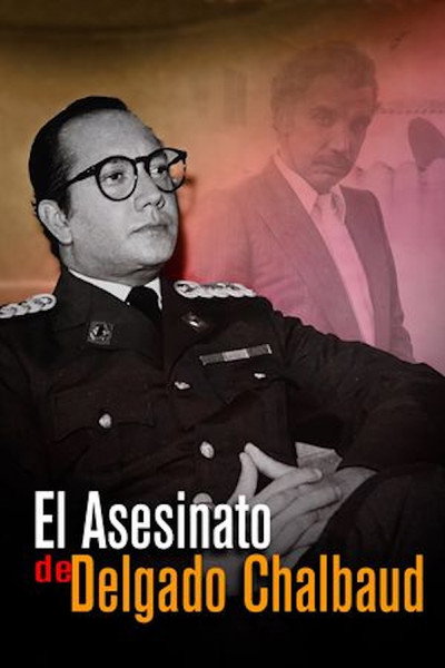 Póster de El asesinato de Delgado Chalbaud