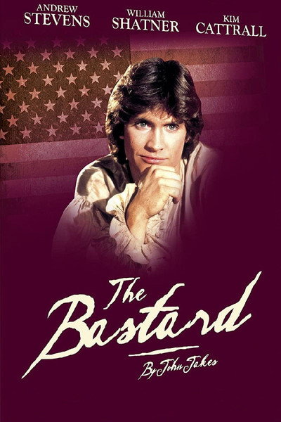 Póster de El bastardo