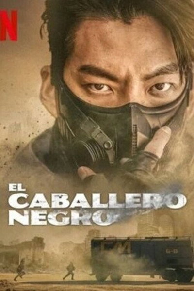 Póster de El caballero negro