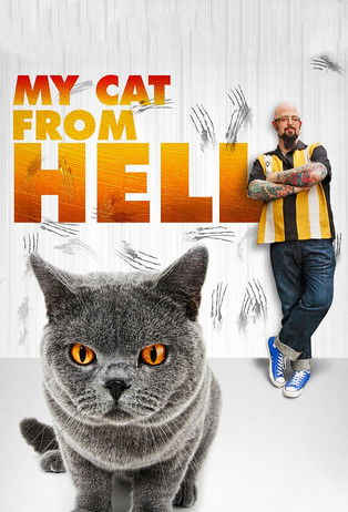 Póster de El encantador de gatos