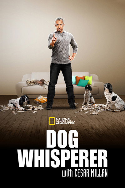 Póster de El encantador de perros