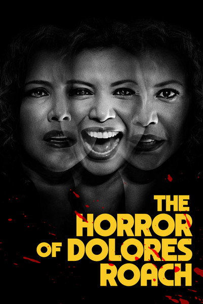 Póster de El horror de Dolores Roach
