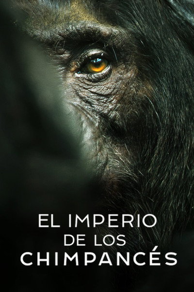 Póster de El imperio de los chimpancés