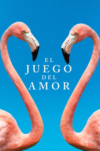 Póster de El juego del amor