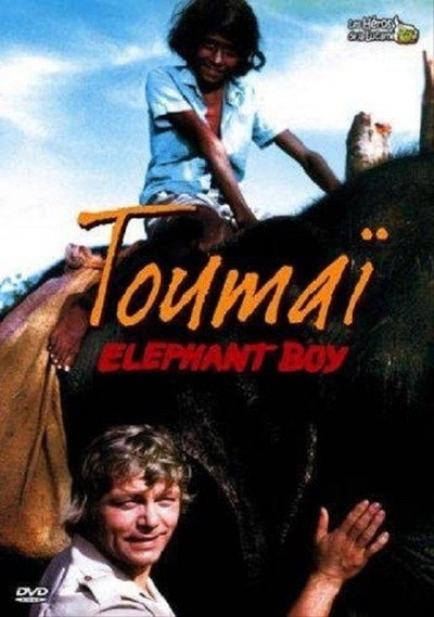 Póster de El muchacho y el elefante