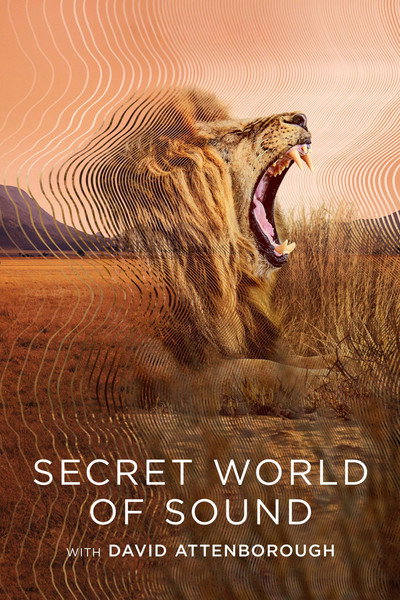 Póster de El mundo secreto del sonido, con David Attenborough