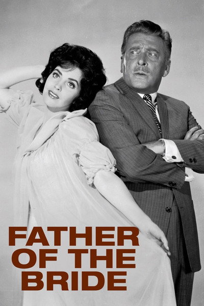 Póster de El padre de la novia