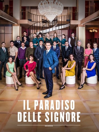 Póster de El paradís de les senyores