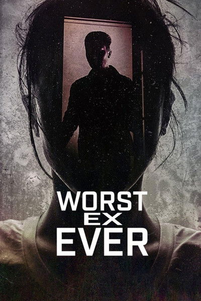 Póster de El peor ex imaginable