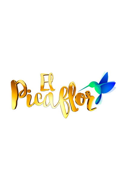 Póster de El picaflor