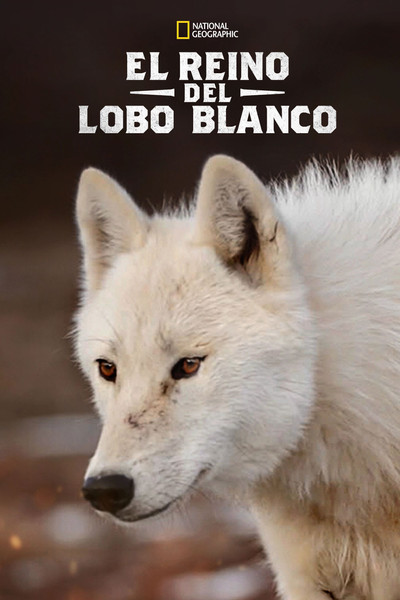 Póster de El reino del lobo blanco