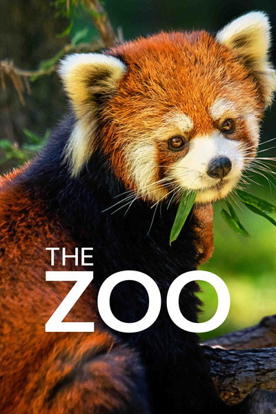 Póster de El zoo del Bronx