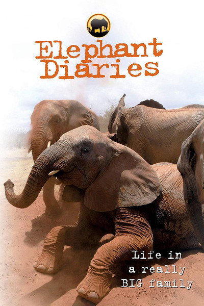 Póster de Elephant Diaries